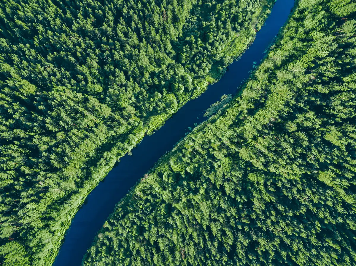 River through a forested landscape